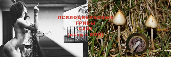 ECSTASY Беломорск