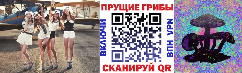 закладки  сайты даркнета клад  Псилоцибиновые грибы мухоморы  Кондопога 